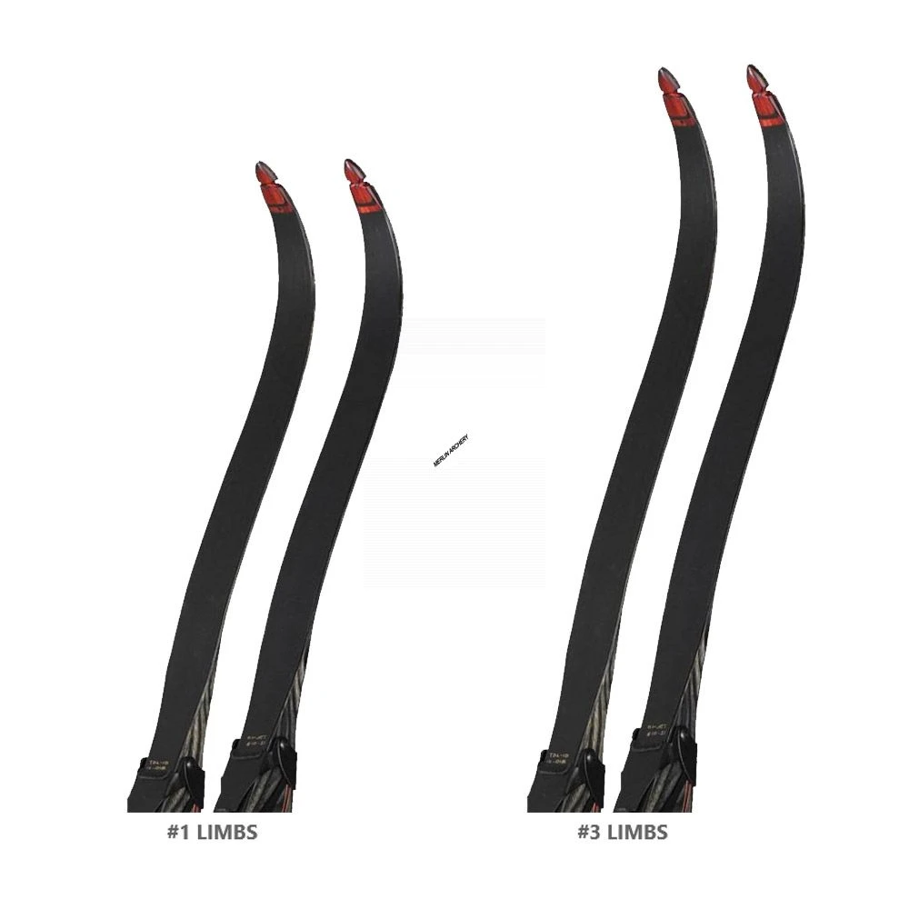 Bear Take Down Limb 2 Bear Take Down Limb - Image 2